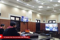 Tòa Phúc thẩm TANDTC tại Đà Nẵng xét xử trực tuyến hai vụ án lừa đảo chiếm đoạt tài sản