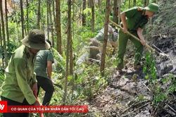 Cảnh báo cháy rừng cấp cực kỳ nguy hiểm tại A Lưới
