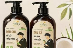 Thu hồi, tiêu hủy 2 loại dầu gội đầu, dầu xả thảo dược