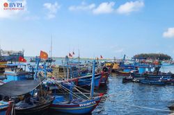 TP Hồ Ch&iacute; Minh triển khai hệ thống 'Nhật k&yacute; khai th&aacute;c thủy sản điện tử'