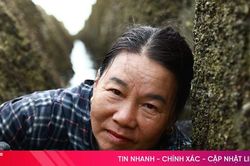 Săn vẹm biển trên kè chắn cát, chắn sóng Cửa Nhượng