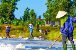 Hà Tĩnh: Những người giữ 'vị mặn' trên cánh đồng muối Châu Hạ