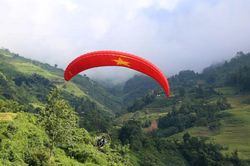 Vận hành sàn giao dịch carbon trong nước: 'Mở cánh cửa' cho nền kinh tế xanh