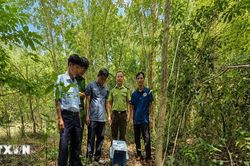 Tây Ninh: Thả cá thể Tê tê Java quý hiếm về lại môi trường tự nhiên