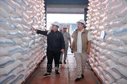 Indonesia sẵn sàng xuất khẩu hàng trăm nghìn tấn gạo khi kho dự trữ quá tải