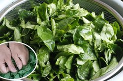 Ăn nắm rau n&agrave;y 'bổ ngang thịt b&ograve;', ở qu&ecirc; mọc um t&ugrave;m nhiều người kh&ocirc;ng biết m&agrave; ăn