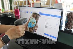 Lâm Đồng xây hệ sinh thái thương mại điện tử cho nông sản