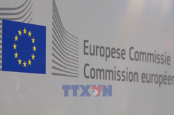 EU tuyên bố bảo vệ quyền lợi trước thuế quan của Mỹ