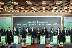 Sàn giao dịch carbon mở cơ hội mới cho doanh nghiệp