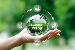 DNSE hoàn tất hạ tầng, sẵn sàng tham gia thị trường carbon từ ngày 29/6