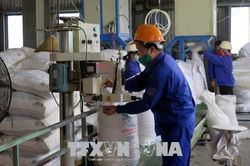 Công bố kết quả rà soát mới nhất về chống lẩn tránh đường mía