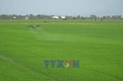 Đồng Tháp: Các hợp tác xã đẩy mạnh chuyển đổi số trong sản xuất, kinh doanh