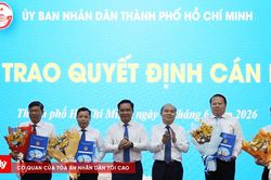 TP.HCM điều động, bổ nhiệm 34 cán bộ, lãnh đạo