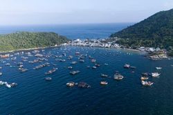 Đảo xanh gần bờ