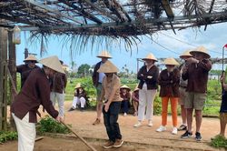 Canh tác 'xanh' trên ruộng đồng