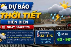 Bản tin Dự báo thời tiết ngày 30/6/2026
