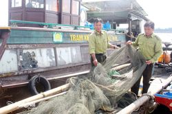 Bảo vệ nguồn lợi thủy sản hồ Trị An