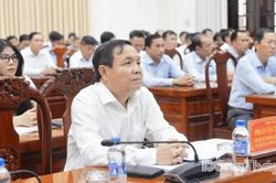 Tiếp tục đổi mới tư duy, nâng cao chất lượng tham mưu công tác tổ chức xây dựng Đảng