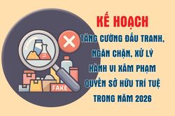 [Infographic] Kế hoạch tăng cường đấu tranh, ngăn chặn, xử lý hành vi xâm phạm quyền sở hữu trí tuệ trong năm 2026 và những năm tiếp theo trên địa bàn tỉnh Khánh Hòa