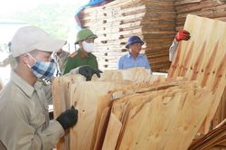 Hợp sức đẩy lùi ma túy
