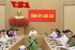 Lào Cai tham dự Hội nghị toàn quốc triển khai nhiệm vụ công tác tổ chức xây dựng Đảng 6 tháng cuối năm 2026