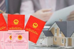 Luật Đất đai 2024: 3 nhóm đối tượng không được nhận chuyển nhượng quyền sử dụng đất