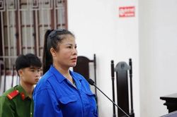 'Vẽ' dự án trồng sâm để lừa đảo tiền tỷ, nữ bị cáo trả giá bằng bản án hơn 12 năm tù