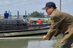 Những 'hạt nh&acirc;n đỏ' b&ecirc;n ch&acirc;n s&oacute;ng