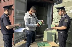 Không để 'độ trễ' chính sách trong xử lý vi phạm hải quan
