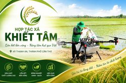 HTX Khiết Tâm: Từ cánh đồng liên kết đến danh hiệu Ngôi sao Hợp tác xã 2026
