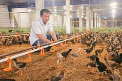 Đổi mới phương thức hỗ trợ vốn cho hợp tác xã: từ chủ trương của Đảng đến niềm tin vào kinh tế tập thể