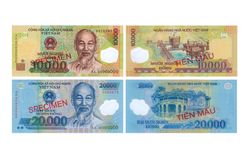 Tiền polymer và tiền kim loại (2003 - nay) - Kỳ I
