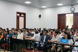 H&agrave;ng loạt nh&agrave; đầu tư bức x&uacute;c, đề nghị tăng nặng mức &aacute;n với Hậu 'ph&aacute;o'