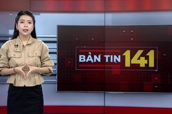 Bản tin 141 | 29/06/2026
