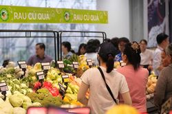 Sức mua chưa thực sự hồi phục, Chứng khoán MB (MBS) gọi tên loạt cổ phiếu bán lẻ 'cửa sáng' tăng trưởng lợi nhuận