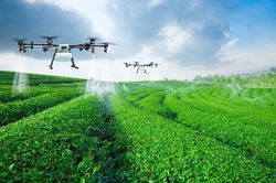Một số vấn đề về phát triển nông nghiệp xanh ở Việt Nam