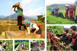 Lâm Đồng rà soát danh mục vốn Chương trình mục tiêu quốc gia giai đoạn 2026-2030