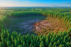 118 năm thảm họa Tunguska: Thiên thạch rơi hay cú nổ từ lòng đất?