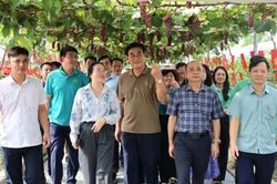 Hội Nông dân thành phố Hà Nội: Mở rộng không gian liên kết, tạo xung lực mới cho phát triển nông nghiệp