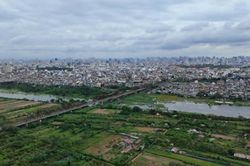 Trường hợp nào được miễn truy cứu trách nhiệm hình sự vi phạm về đất đai?