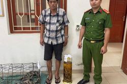 Khởi tố Bùi Ngọc Tài do tàng trữ rượu ngâm tay gấu