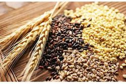 Người sau 50 tuổi nên duy trì 5 nguyên tắc ăn uống này để khỏe mạnh khi về già