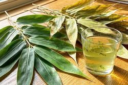 Nên uống nước lá tre khô hay tươi tốt hơn?