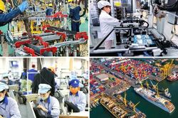 Ban h&agrave;nh Hệ thống ng&agrave;nh sản phẩm Việt Nam