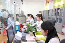 Tỷ lệ vi&ecirc;n chức bố tr&iacute; theo bậc nghề nghiệp của vị tr&iacute; việc l&agrave;m