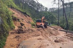 Tuyên Quang mưa dông khiến nhiều nhà dân và hoa màu bị thiệt hại
