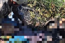 Phát hiện thi thể người đàn ông sau khi khống chế vụ cháy rừng