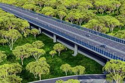 Khởi công xây dựng đường kết nối cầu Mã Đà đến Vành đai 4 - TPHCM