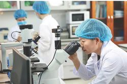 Kỳ 2: Những 'điểm nghẽn' đang níu chân nền khoa học Việt Nam