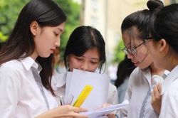 8h ng&agrave;y 1/7 c&ocirc;ng bố điểm thi tốt nghiệp THPT 2026, tra cứu ở đ&acirc;u?